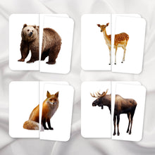 Load image into Gallery viewer, Symmetry Puzzles Animal Bundle
