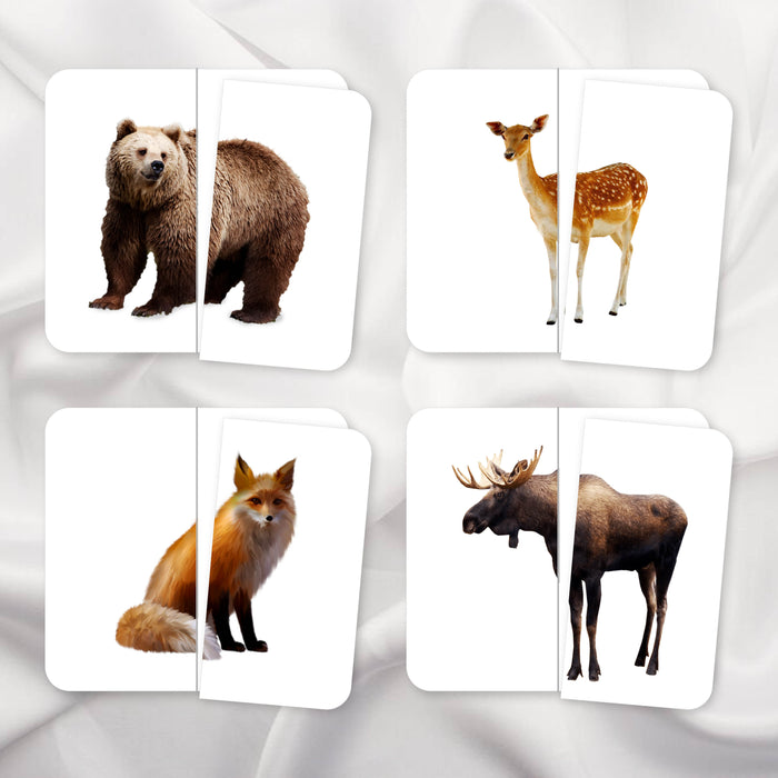 Symmetry Puzzles Animal Bundle