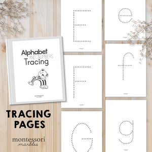 Alphabet and Numbers Workbook